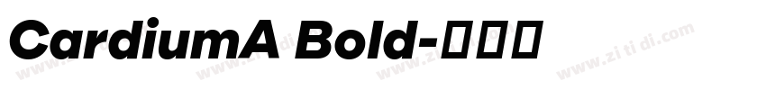 CardiumA Bold字体转换